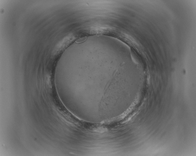 X0000072550258200607141300