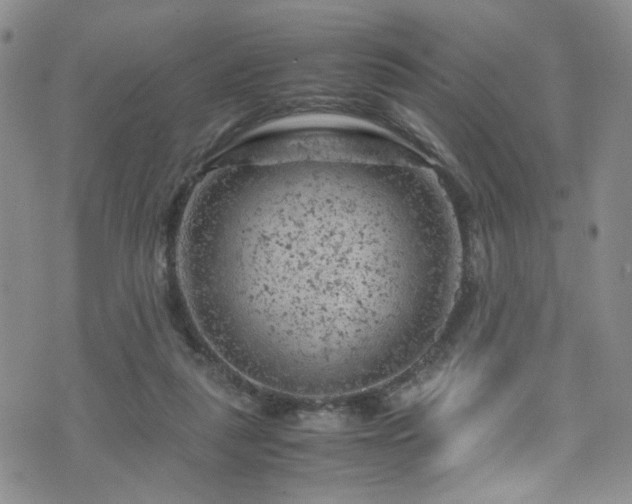 X0000072550259200607141300