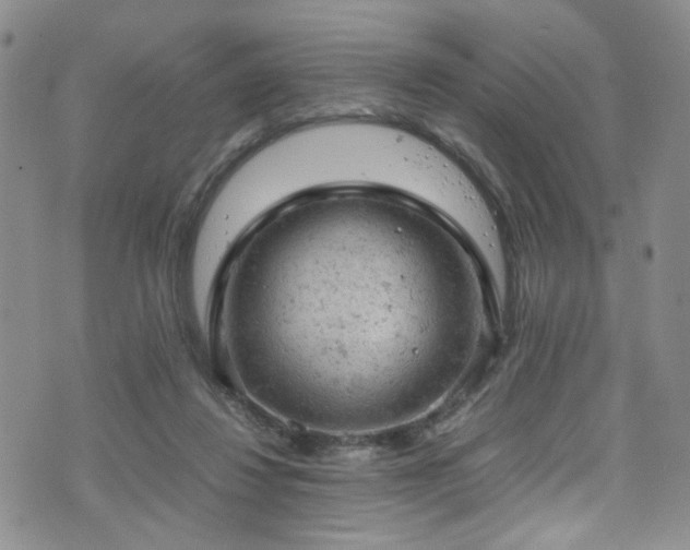 X0000072550260200607141300