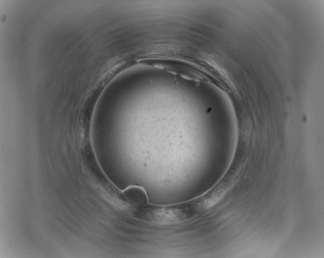 X0000072550261200607141300