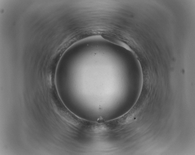 X0000072550262200607141300