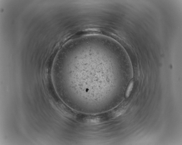 X0000072550263200607141300