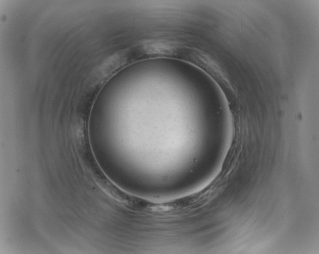 X0000072550265200607141300