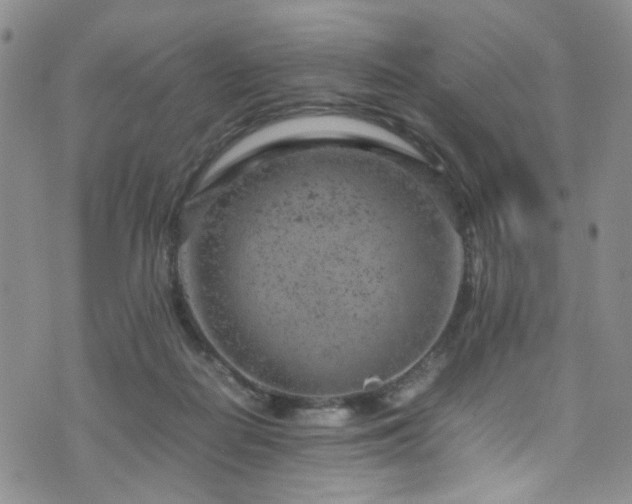 X0000072550266200607141300