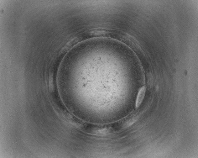 X0000072550267200607141300