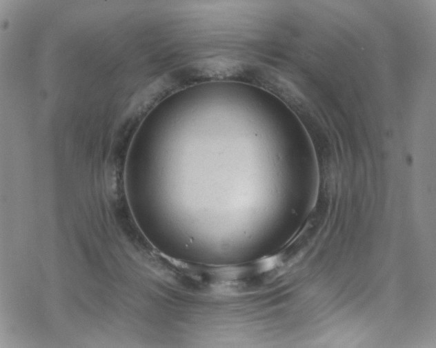 X0000072550268200607141300