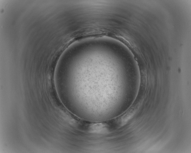 X0000072550269200607141300