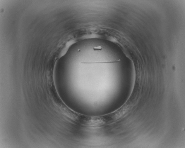 X0000072550270200607141300