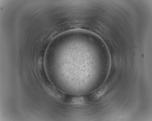 X0000072550271200607141300