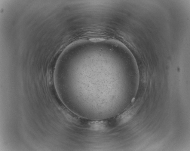 X0000072550273200607141300