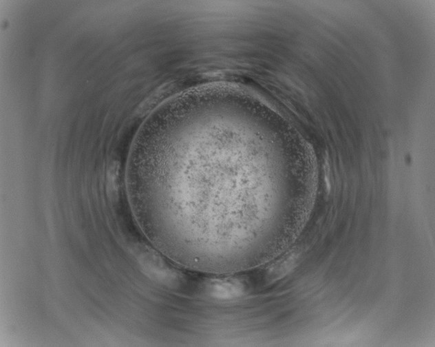 X0000072550275200607141300