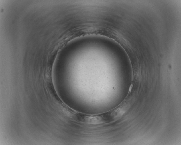 X0000072550277200607141300