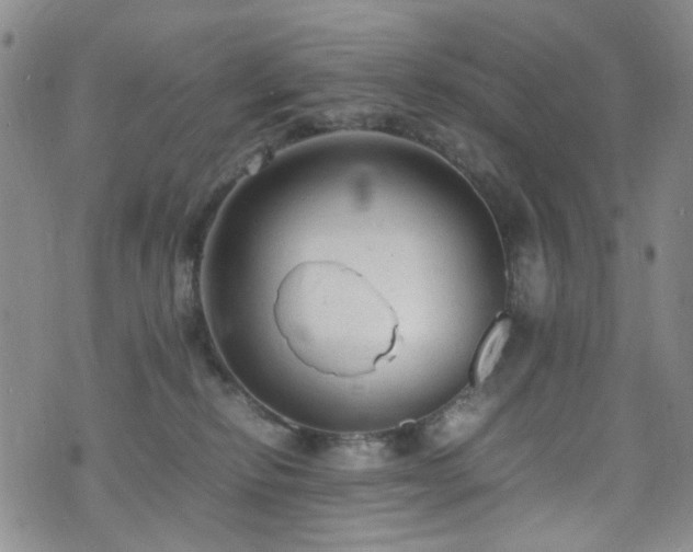 X0000072550278200607141300