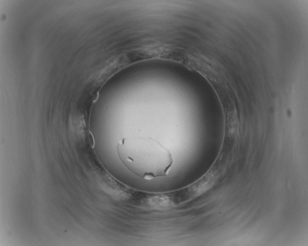 X0000072550279200607141300