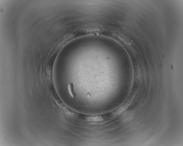 X0000072550281200607141300