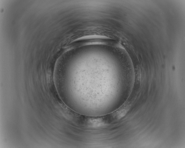 X0000072550283200607141300