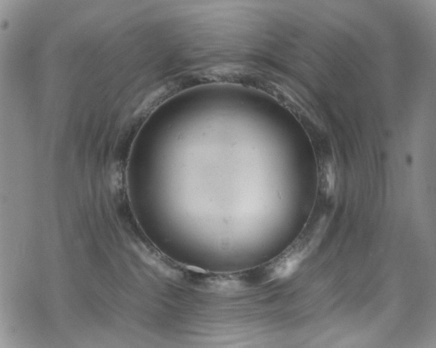 X0000072550284200607141300