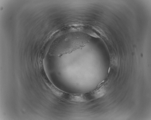 X0000072550285200607141300