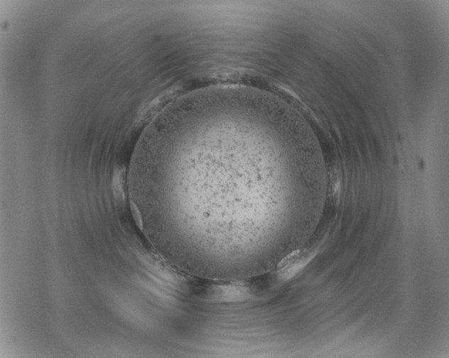 X0000072550286200607141300