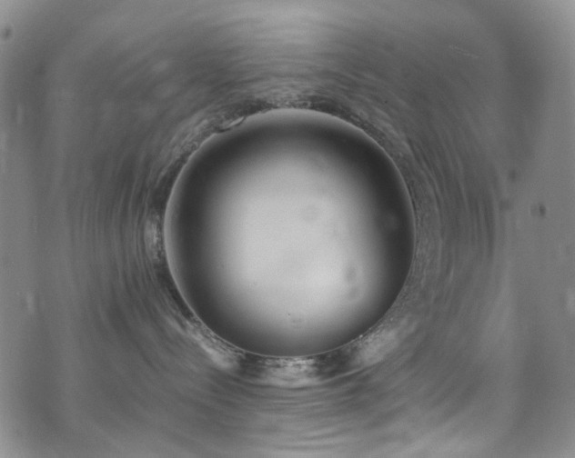 X0000072550288200607141300