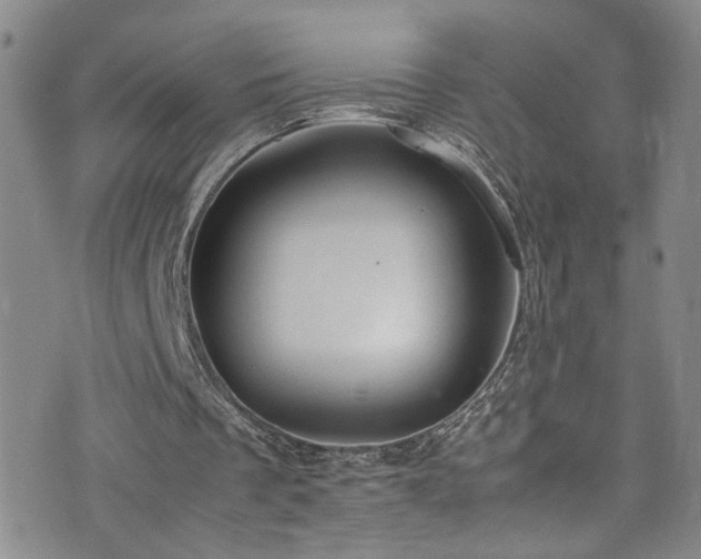 X0000072550289200607141259