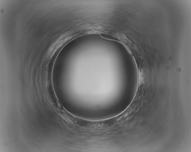 X0000072550291200607141259