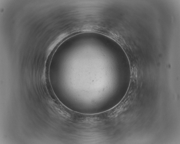 X0000072550292200607141259