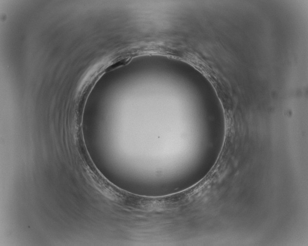 X0000072550293200607141259