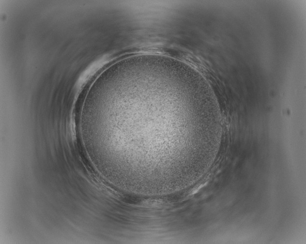 X0000072550294200607141259