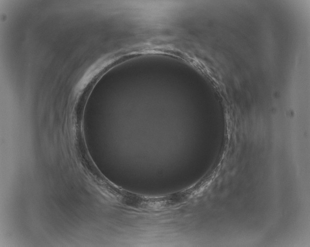 X0000072550295200607141259