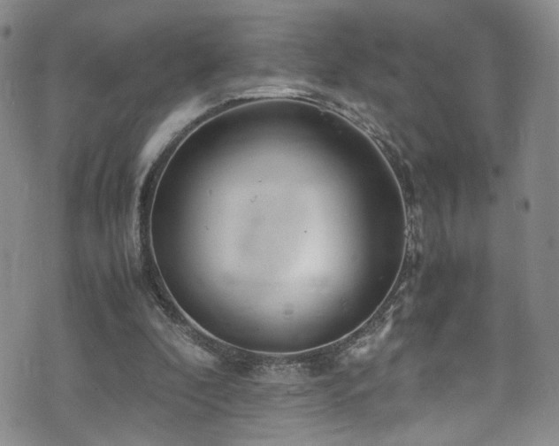 X0000072550296200607141259