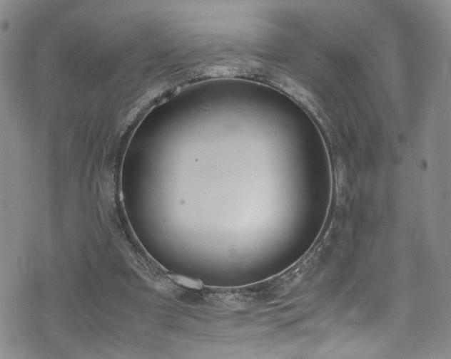 X0000072550297200607141259