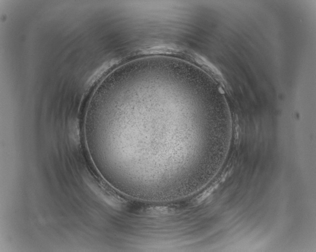 X0000072550298200607141259