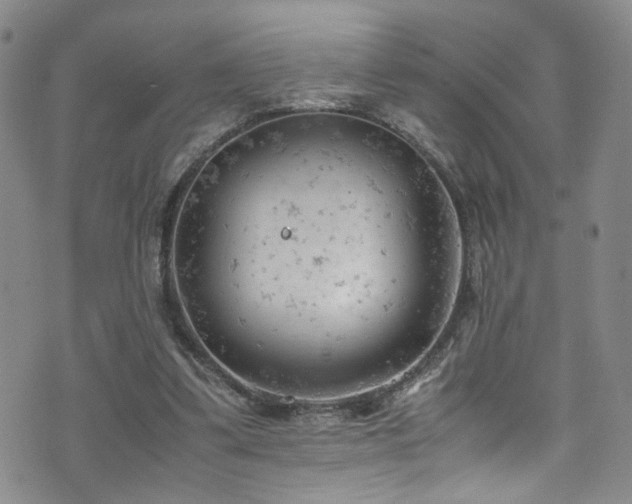 X0000072550299200607141259