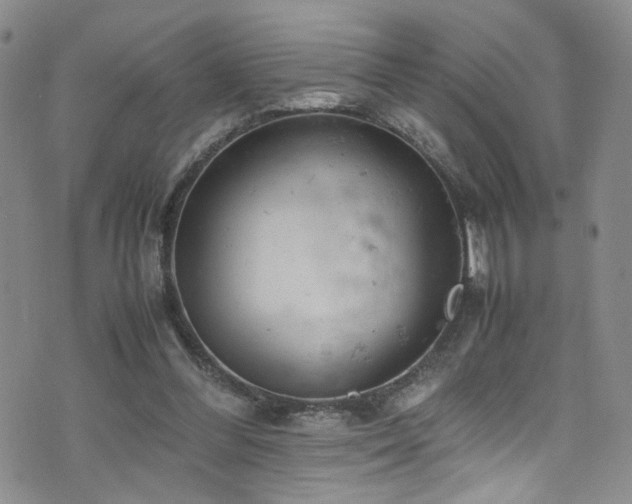 X0000072550300200607141259