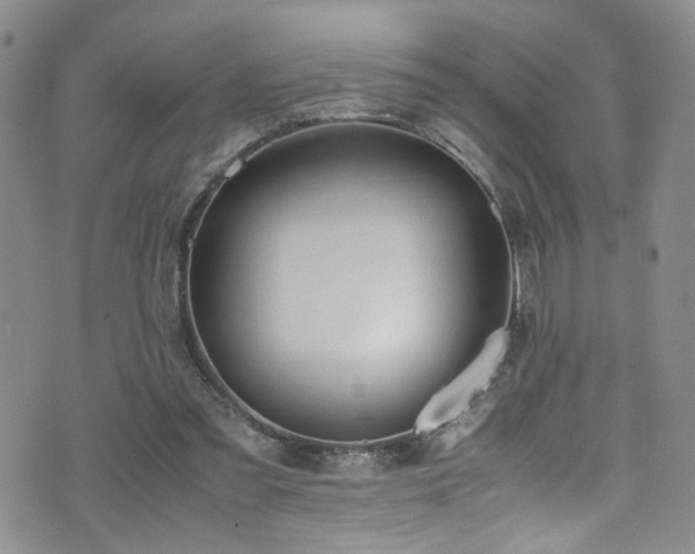 X0000072550301200607141259