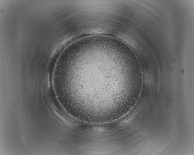 X0000072550302200607141259