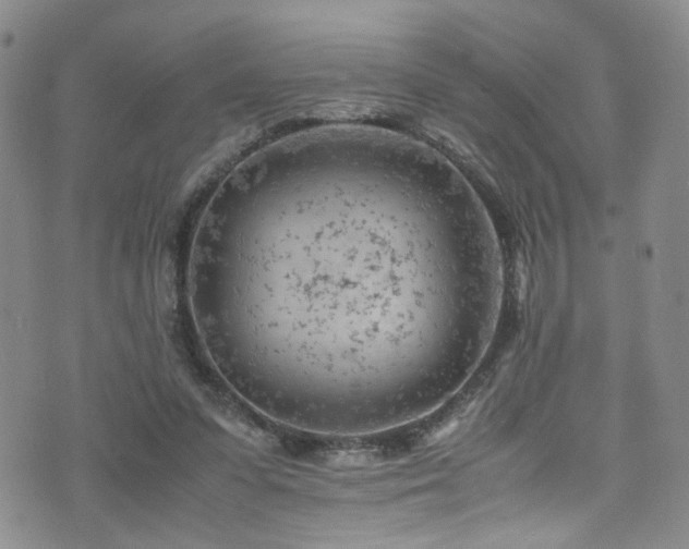 X0000072550303200607141259