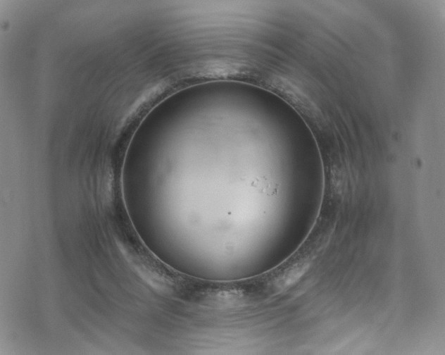 X0000072550304200607141259