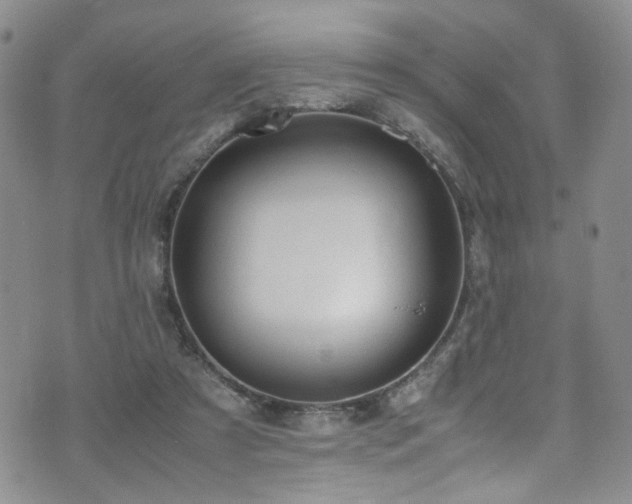 X0000072550305200607141259