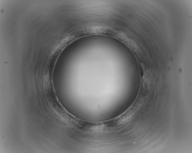 X0000072550306200607141259