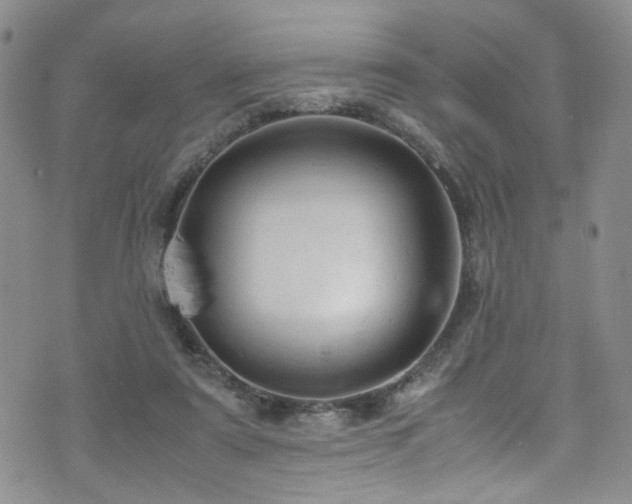 X0000072550307200607141259