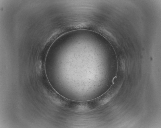 X0000072550308200607141259