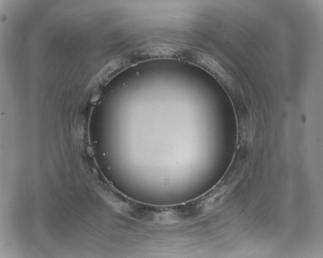 X0000072550309200607141259