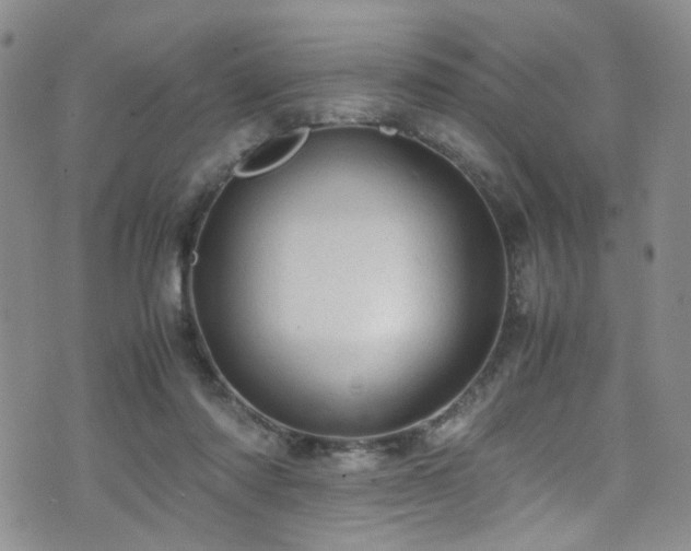 X0000072550310200607141259