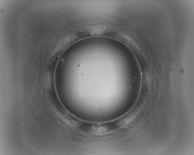 X0000072550311200607141259