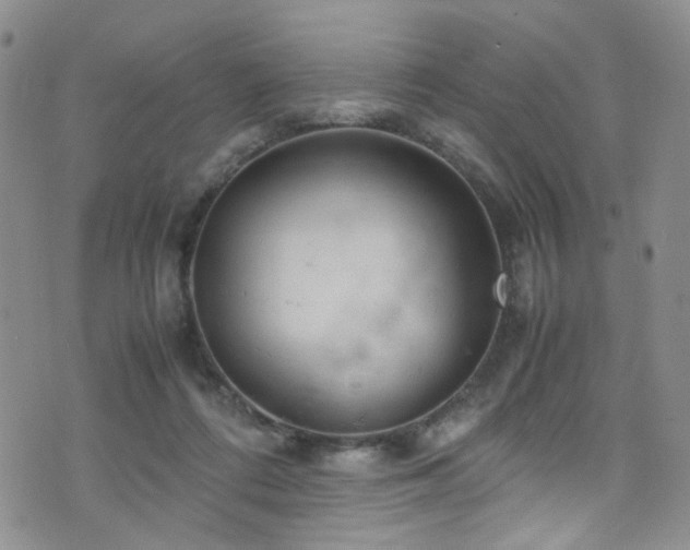 X0000072550312200607141259