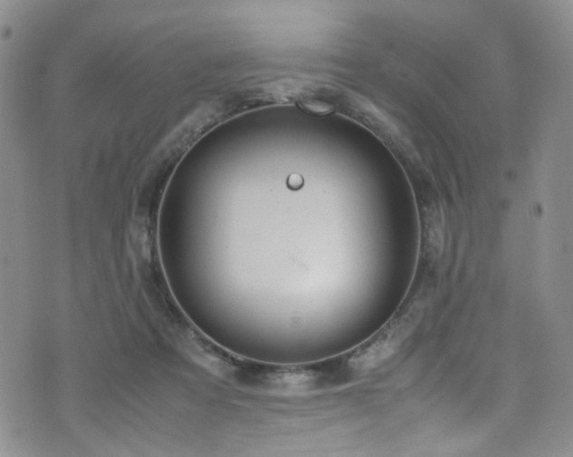 X0000072550313200607141259