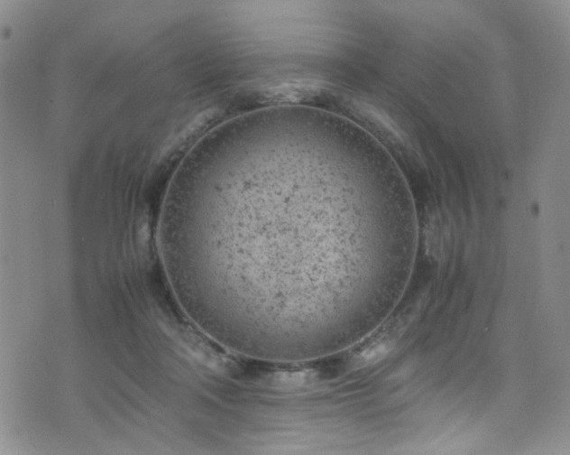 X0000072550314200607141259