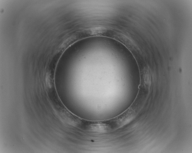 X0000072550316200607141259